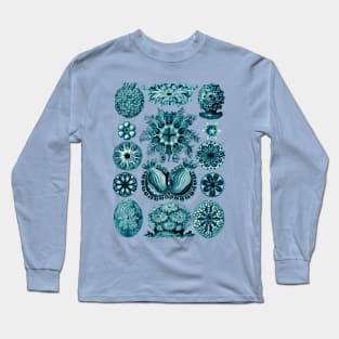 Ernst Haeckel Ascidiae Sea Squirts Teal Long Sleeve T-Shirt